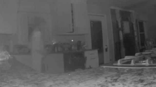 Dead Son’s Ghost Appears on Mom’s NEST Camera